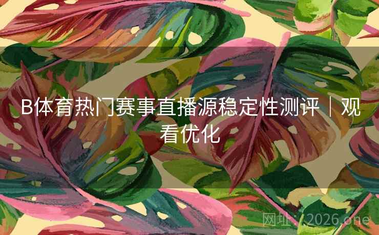 B体育热门赛事直播源稳定性测评｜观看优化