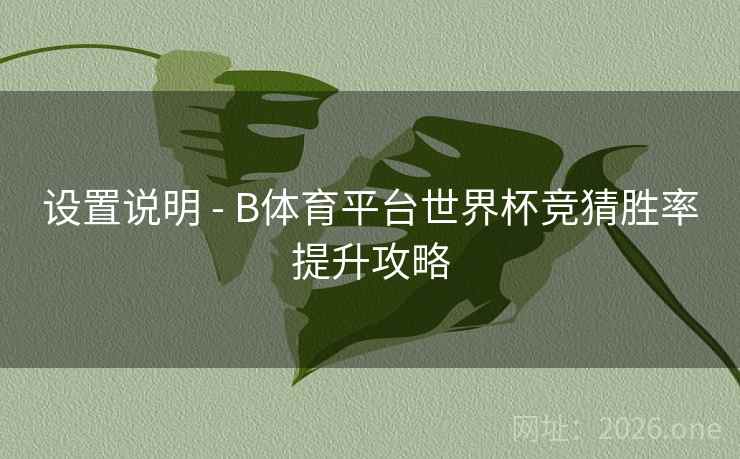 设置说明 - B体育平台世界杯竞猜胜率提升攻略