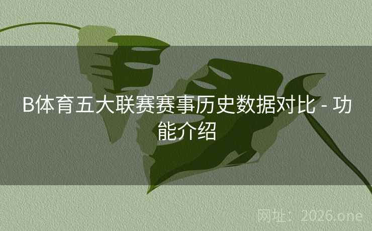 B体育五大联赛赛事历史数据对比 - 功能介绍