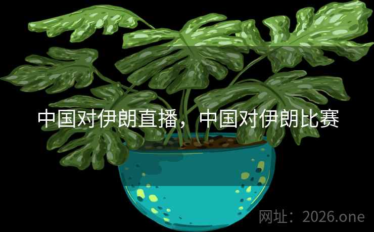 中国对伊朗直播，中国对伊朗比赛