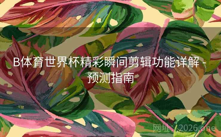 B体育世界杯精彩瞬间剪辑功能详解 - 预测指南