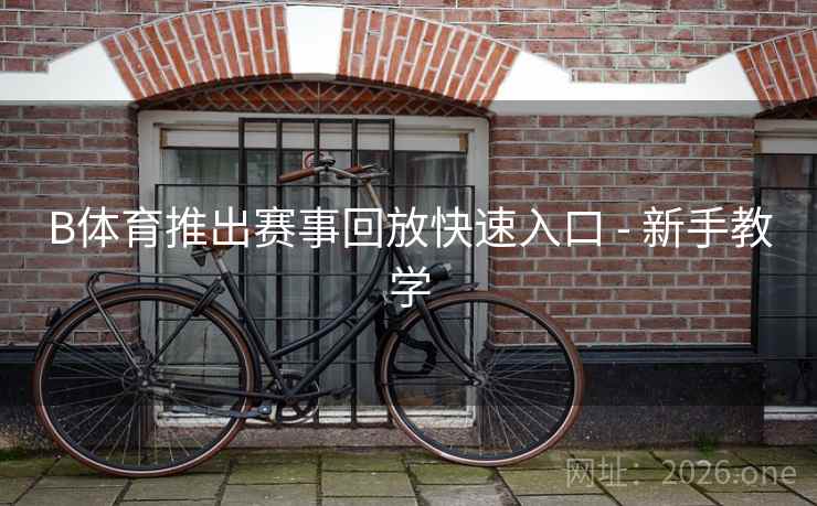 B体育推出赛事回放快速入口 - 新手教学