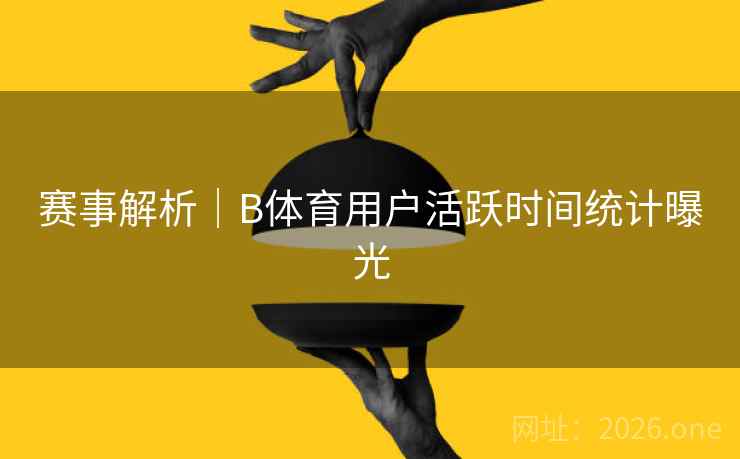 赛事解析｜B体育用户活跃时间统计曝光