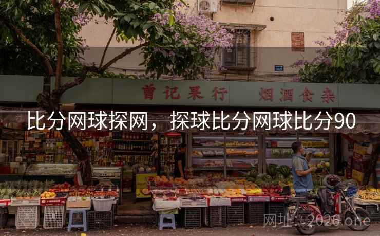比分网球探网,探球比分网球比分90