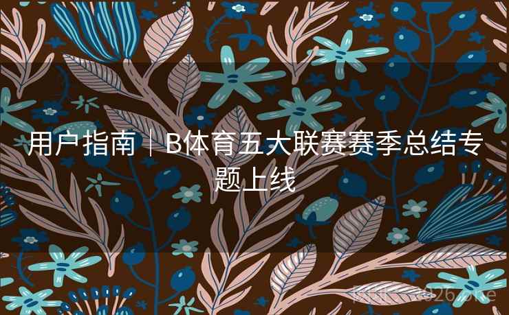 详细阅读:用户指南|B体育五大联赛赛季总结专题上线 用户指南|B体育五大联赛赛季总结专题上线