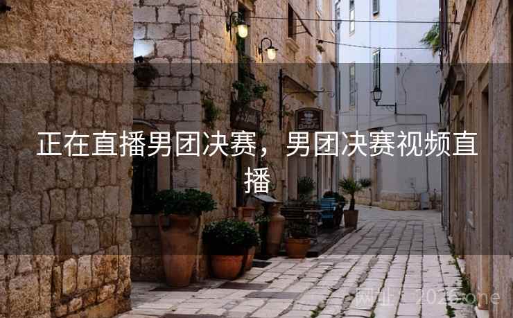 正在直播男团决赛,男团决赛视频直播